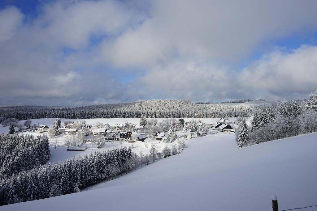 Astenpanorama Винтерберг