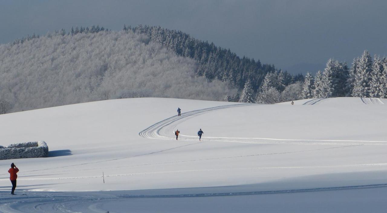 Astenpanorama *